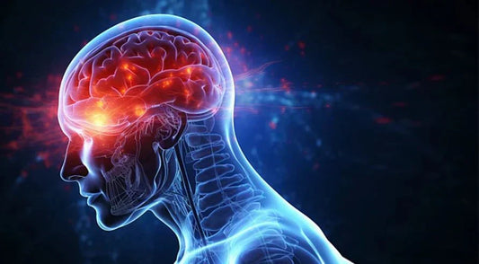 Understanding Transcranial Photobiomodulation (tPBM): Insights from Recent Research