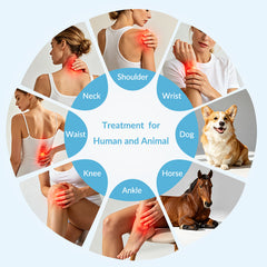15W High-Power Class 4 Laser Therapy Device 810nm 980nm 1064nm for Humans & Animals