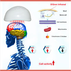 ZJZK LED Parkinson Helmet-FDA Cleared LED 810nm Brain Photobiomodulation Treatment For Parkinson's disease,Alzheimer's disease,Stroke,Dementia,Memory loss,Mental Illness